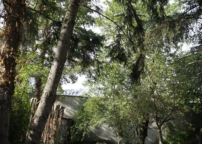 U6 Schoepfwerk 5 * Bécs